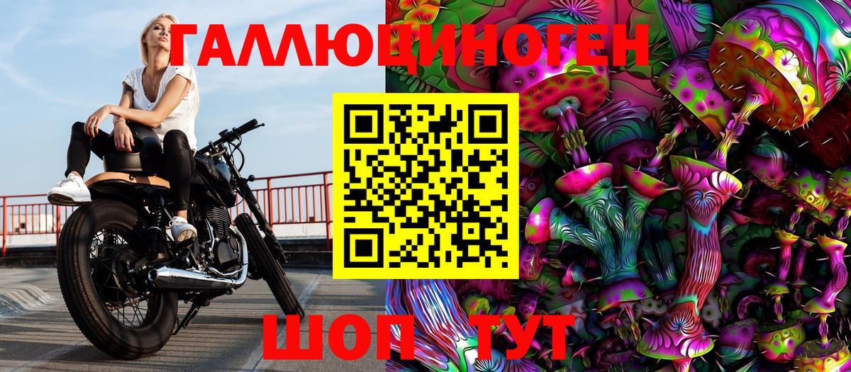 хочу   Вход с VPN  Элиста  Галлюциногенные грибы мицелий 